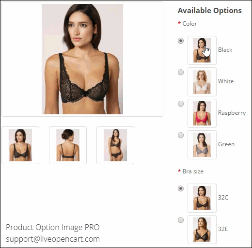 Product Option Image: the main image, additional images and option thumbnails change with the selected options.